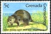 Colnect-2992-177-Giant-Rice-Rat-Megalomys-sp.jpg