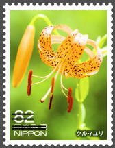 Colnect-3536-805-Kurumayuri---Lilium-Medeoloides.jpg