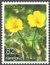 Colnect-3536-806-Trollius-Riederianus-var-Japonicus.jpg