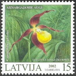 Colnect-3611-760-Cypripedium-calceolus.jpg