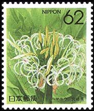 Colnect-519-708-Crinium-Miyazaki.jpg