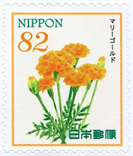 Colnect-5419-918-Marigolds-Tagetes-sp.jpg