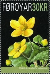 Colnect-547-716-Marsh-Marigold-Caltha-palustris.jpg