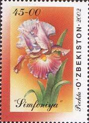 Colnect-824-024-Iris--Simfoniya-.jpg