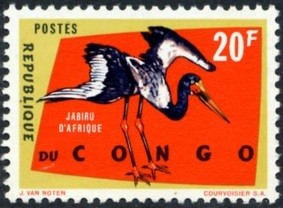 Colnect-1093-579-Saddle-billed-stork-Ephippiorhynchus-senegalensis.jpg