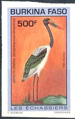 Colnect-2631-905-Saddle-billed-Stork-Ephippiorhynchus-senegalensis.jpg