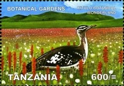 Colnect-1692-560-Kitulo-Botanical-Wonderland-Denham--s-Bustard-Neotis-denham.jpg