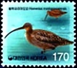 Colnect-2511-001-Far-Eastern-Curlew-Numenius-madagascariensis.jpg