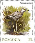 Colnect-5204-327-Stone-curlew-Burhinus-oedicnemus.jpg