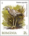 Colnect-5204-331-Stone-curlew-Burhinus-oedicnemus.jpg