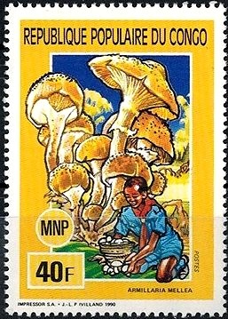 Colnect-2944-278-Armillaria-mellea.jpg