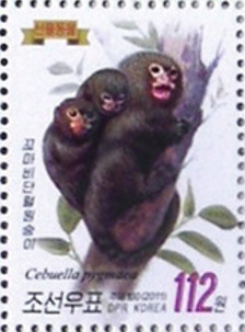 Colnect-2953-466-Pygmy-Marmoset-Cebuella-pygmaea.jpg