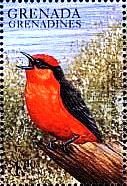 Colnect-4213-528-Vermilion-flycatcher.jpg