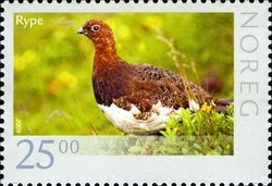 Colnect-511-268-Ptarmigan-Lagopus-sp.jpg