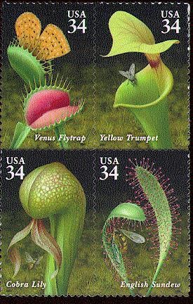 Colnect-201-699-Carnivorous-Plants.jpg