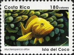 Colnect-1723-292-Sailfin-Grouper-Mycteroperca-olfax.jpg