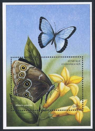 Colnect-2149-689-Emperor-Morpho-peleides.jpg