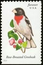 Colnect-2170-429-Rose-breasted-Grosbeak-Pheucticus-ludovicianus.jpg