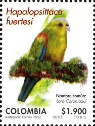 Colnect-1701-416-Fuertes-s-Parrot-Hapalopsittaca-fuertesi.jpg