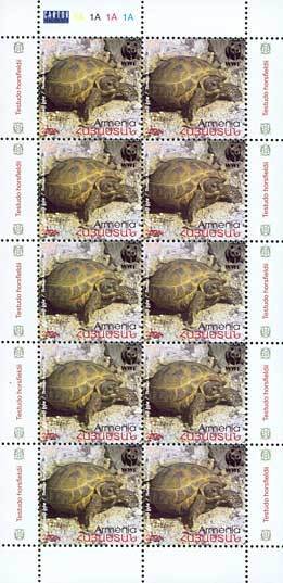 Colnect-190-290-Mini-Sheet-with-10x-Horsfield-s-Tortoise-Testudo-horsfieldi.jpg