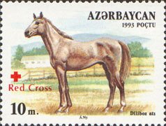 Colnect-196-118-Dilibaz-Horse-Equus-ferus-caballus.jpg