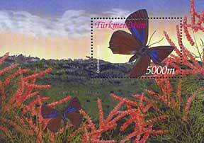 Colnect-639-520-Purple-Hairstreak-Quercusia-quercus.jpg