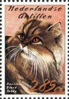 Colnect-966-885-Black-Tabby-Persian-Felis-silvestris-catus.jpg