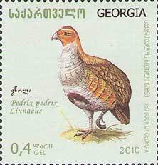 Colnect-1107-670-Grey-Partridge%C2%A0Perdix-perdix.jpg