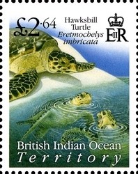 Colnect-1424-648-Hawksbill-Turtle-Eretmochelys-imbricata.jpg