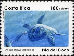 Colnect-1723-294-Hawksbill-Turtle-Eretmochelys-imbricata.jpg