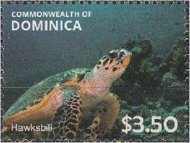 Colnect-3276-013-Hawksbill-Turtle-Eretmochelys-imbricata.jpg