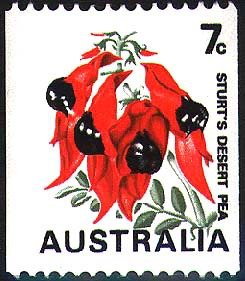 Colnect-476-977-Sturt-s-Desert-Pea---Swainsona-formosa.jpg