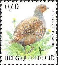 Colnect-567-757-Gray-Partridge-Perdix-perdix.jpg