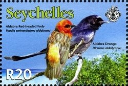 Colnect-1703-863-Aldabra-Drongo-Dicrurus-aldabranus-Aldabra-Fody-Foudia-e.jpg