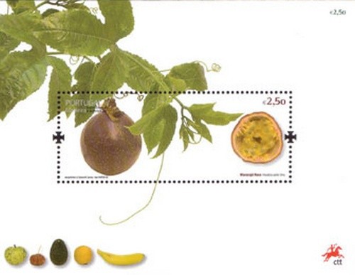 Colnect-546-903-Passionfruit-Passiflora-edulis.jpg