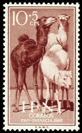 Colnect-1365-258-Dromedary-Camelus-dromedarius.jpg