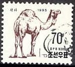 Colnect-979-278-Dromedary-Camelus-dromedarius.jpg