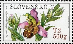 Orchids---Ophrys-apifera.jpg