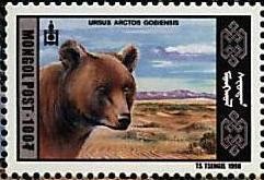 Colnect-1281-255-Gobi-bear-Ursus-arctos-gobiensis.jpg