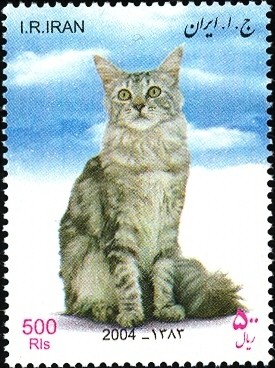 Colnect-1592-491-Long-Hair-Felis-silvestris-catus.jpg