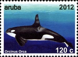 Colnect-1622-502-Killer-Whale-Orcinus-orca.jpg