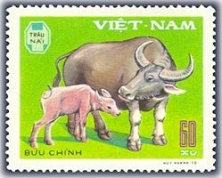 Colnect-1627-657-Domesticated-Water-Buffalo-Bos-bubalus-domesticus.jpg