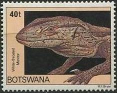 Colnect-1753-361-White-throated-Monitor-Varanus-exanthematicus-albigularis-.jpg