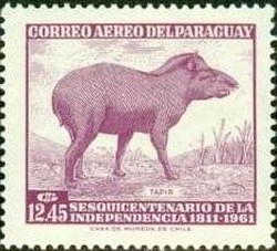 Colnect-1835-941-Tapir-Tapirus-terrestris.jpg