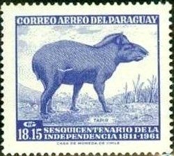 Colnect-1835-942-Tapir-Tapirus-terrestris.jpg