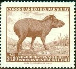 Colnect-1835-943-Tapir-Tapirus-terrestris.jpg