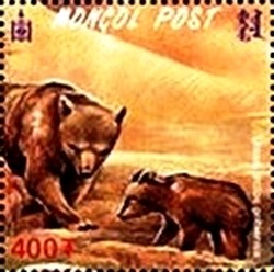 Colnect-2321-429-Gobi-Bear-Ursus-arctos-gobiensis.jpg