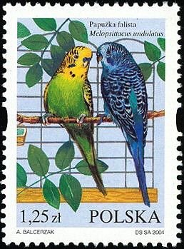 Colnect-3931-306-Budgerigar-Melopsittacus-undulatus.jpg