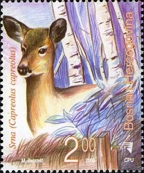 Colnect-900-133-Roe-Deer-Capreolus-capreolus.jpg