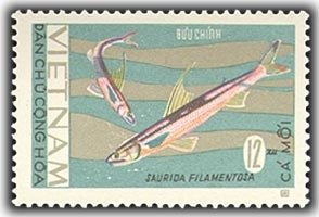 Colnect-1652-532-Threadfin-Saury-Saurida-filamentosa.jpg